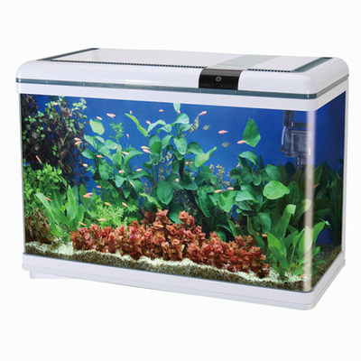 博宇魚(yú)缸水族箱 詳細(xì)分析與購(gòu)買(mǎi)建議