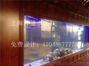 水族箱產(chǎn)業(yè)供應(yīng)鏈解析 從供應(yīng)商、價(jià)格到批發(fā)市場(chǎng)